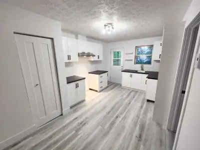 logement 3 1/2 rénové à louer