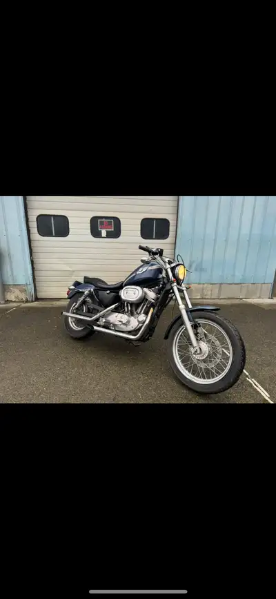 2003 harley davidson 100th aniversy eddition hugger 883 -1200cc kit -new bars and risers -exhost -mi...