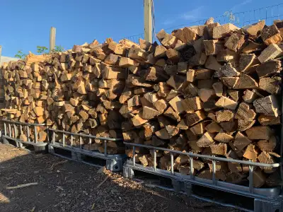 firepit wood: Mixed Spruce, pine & Poplar. $120 - stacked 1/3 cord cage. Full truck box $30 large wh...