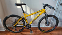 SPECIALIZED EPIC Race mountain bike Price negotiable