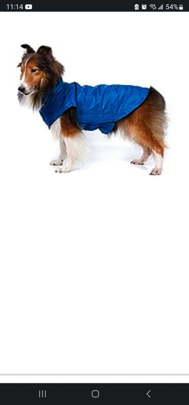 Dog winter jacket  in Other in City of Toronto - Image 4