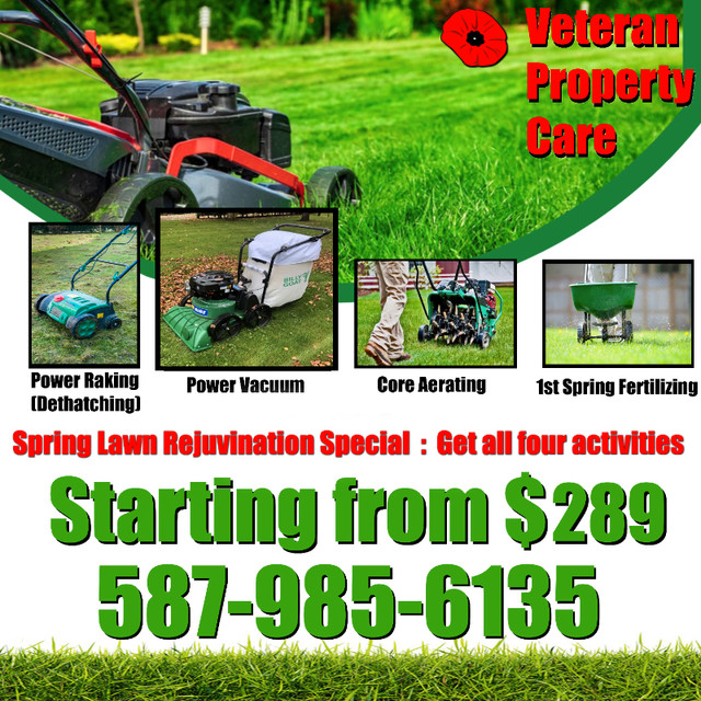 Spring Yard Cleanup in Lawn, Tree Maintenance & Eavestrough in Edmonton