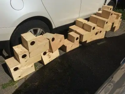 I have a full line of handmade, locally built nest boxes. Nest boxes for finches $25 - $45, budgies...