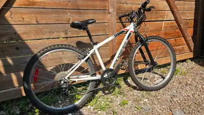 Vélo 20 po Rockrider ST 100, View more