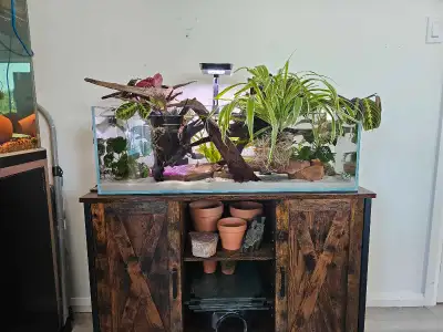 aquarium 20 gallons et accessoires, View more