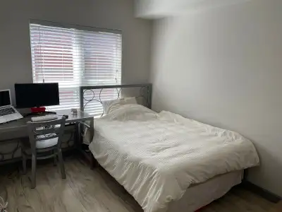 Hi, I have one bedroom avalible for rent in a 2 bedroom fully furnished appartmart 10 min walk to un...