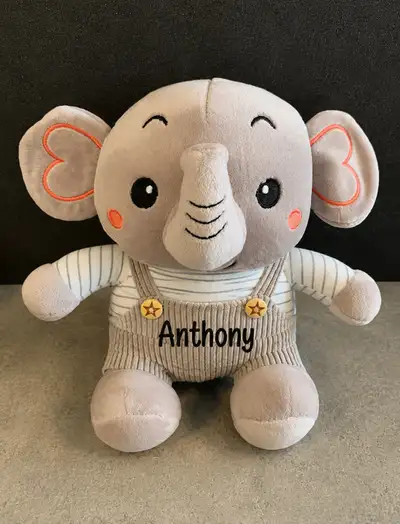 Personalized Plushies $15 each, View more