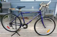 Vintage Raleigh Inferno AT (All Terrain) Bicycle