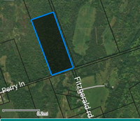 25 acres for sale