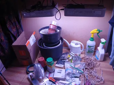 Plant Grow Lights + Supplies, View more