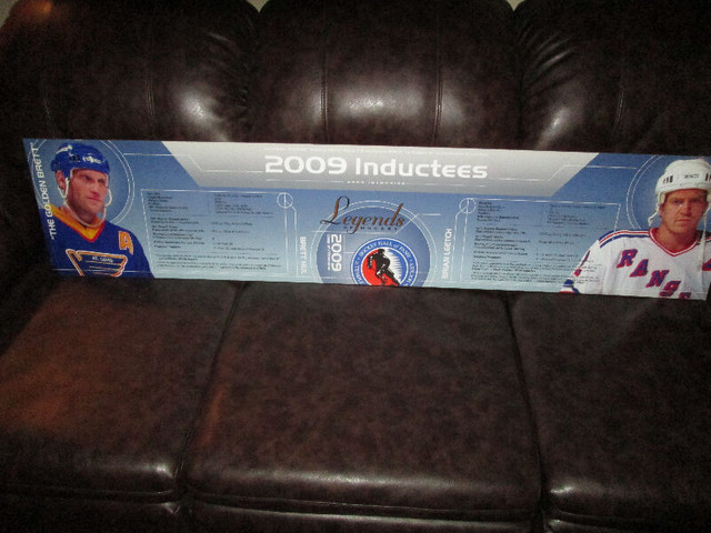 Steve Yzerman Hockey Hall of Fame Display Header - 1 Only in Arts & Collectibles in Mississauga / Peel Region - Image 2