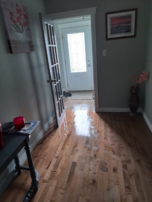 House for rent Long Term Rentals St. John's Kijiji