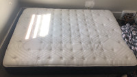 Sealy Optimum queen size mattress