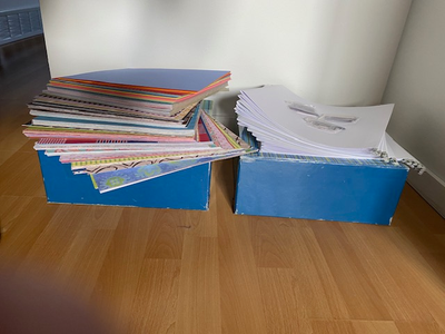 SCRAPBOOKING PAPER - Approximately 550 Pages, View more