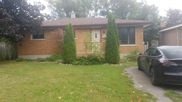 Room for rent at 229 Herbert Street, Peterborough, ON, available in Room Rentals & Roommates in Mississauga / Peel Region - Image 4