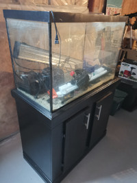 62 gallon (34x23x18 inch) aquarium with custom stand $230