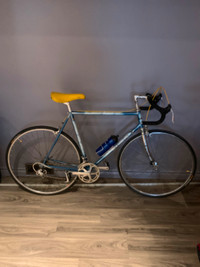Road Bike, Shimano Dura-Ace, 57 cm frame