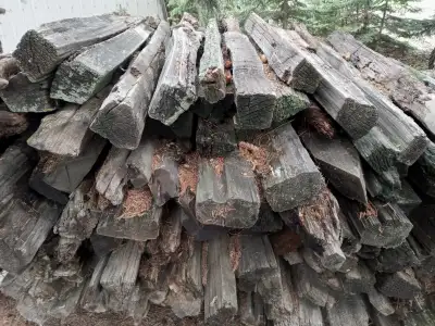 Antique Cedar Fence Posts, View more