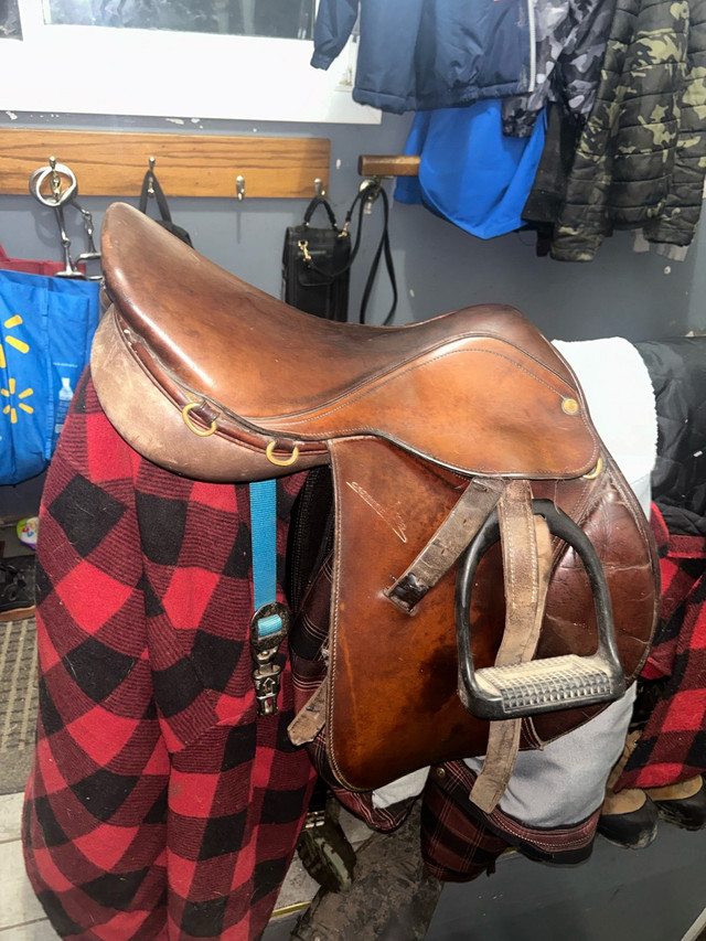 English saddle  in Equestrian & Livestock Accessories in Nanaimo - Image 2