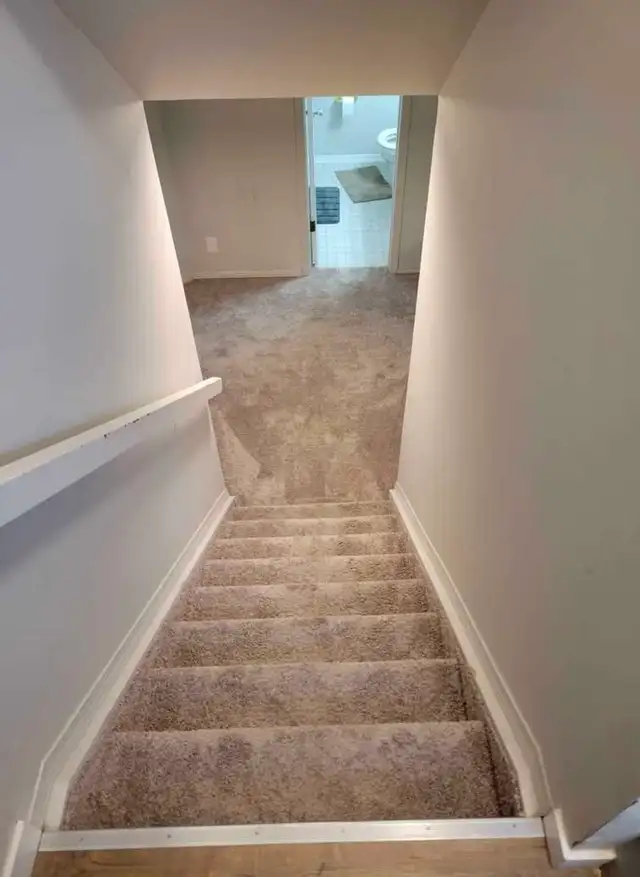 1 bed 1 bath Basement. 