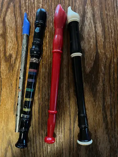 recorder and penny whistle musical instruments -school band fun, View more