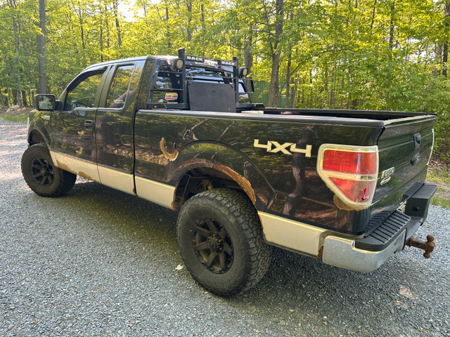 2013 Ford F150 XLT 5.0L in Cars & Trucks in Sudbury - Image 4