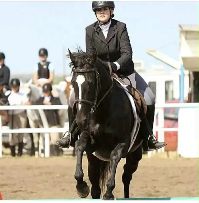 OTTB Thoroughbred Mare. Jumping. Trail Horse in Horses & Ponies for Rehoming in Dawson Creek - Image 3