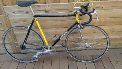 Vintage Nishiki Landau Tri-A road bike, View more