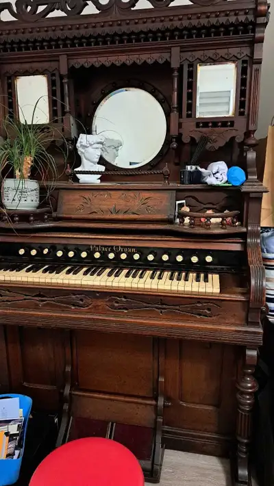 Palace Organ, View more