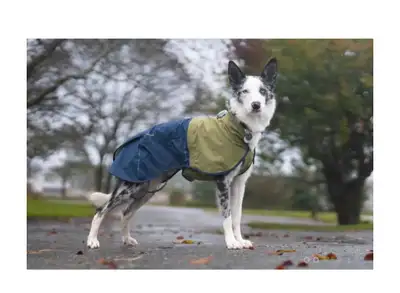Ruffwear Raincoat brand new. For med dogs. PU in Inglewood.