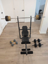 Work out bench W/ bar and misc weights