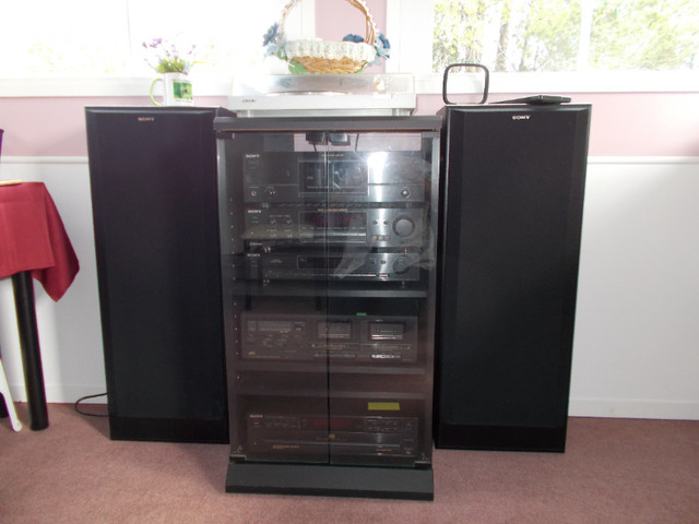 STEREO CABINET ON WHEELS e/w 2 GLASS DOORS in Storage & Organization in Prince George