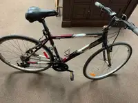 Vélo pour femme