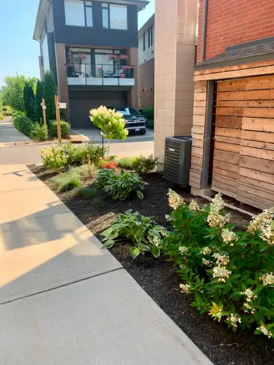 Garden, Plants and Mulch, View more