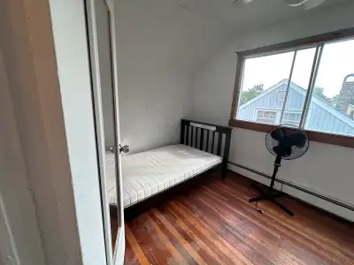 1 room- immediately