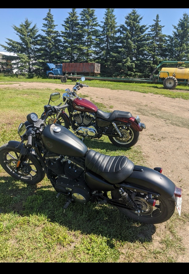 Harley Davidson Sportster in Street, Cruisers & Choppers in Edmonton - Image 2