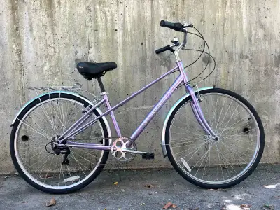 Purple classic step-through steel road bike w/fenders&back rack, View more