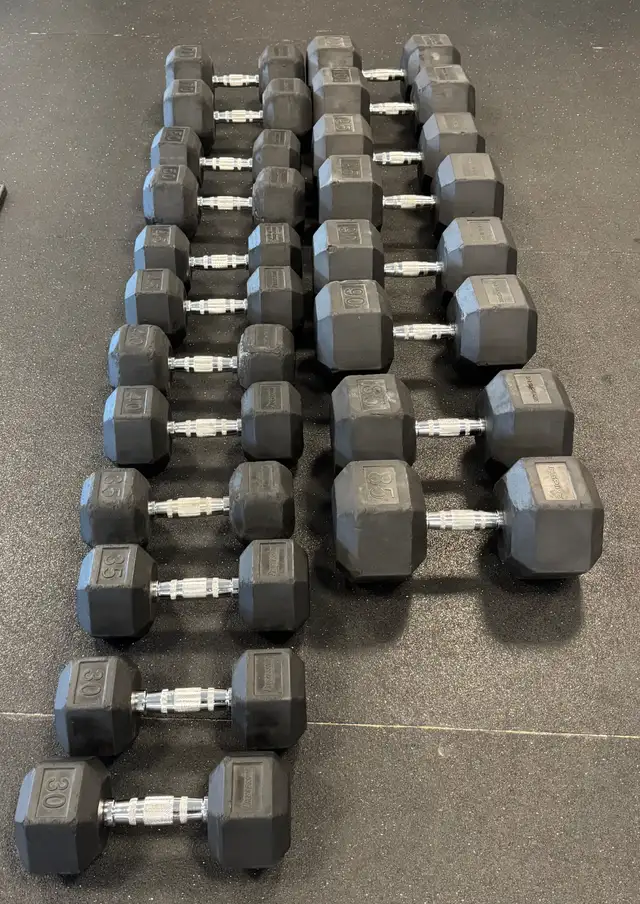 Commercial Dumbbell Set – $1/lb or $1,000 for the lot in Exercise Equipment in Kamloops - Image 4