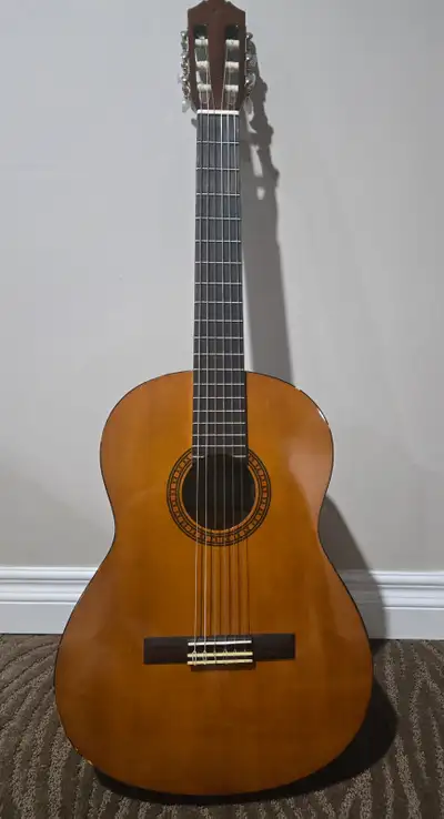 Gently used. Beginner friendly. Slight paint damage. Case included.