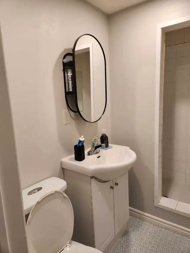Basement Apartment in Richmond Hill  in Long Term Rentals in Markham / York Region - Image 6