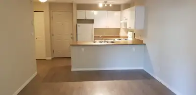Cozy open layout 1 Bdrm