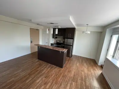 Beautiful, Bright,  Central, One Bedroom Apartment for Rent!