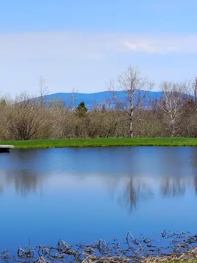 Terre à bois de 50 acres zonée blanc située dans les cantons de l'est à Chartierville en Estrie. Vou...