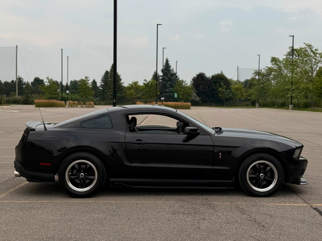 2012 Ford Mustang Premium Performance Pkg in Cars & Trucks in Mississauga / Peel Region - Image 4