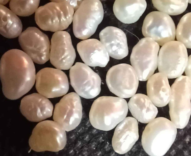 Lot of 100 drilled freshwater pearls, in Penticton in Jewellery & Watches in Penticton - Image 3