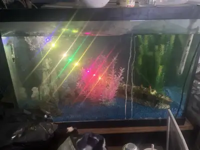 fish tank, View more