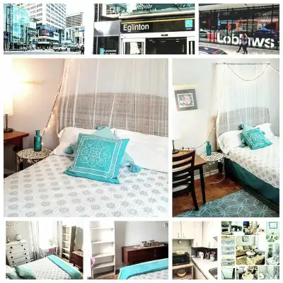 Showing now - Private sunny furnished room JULY 1 move in July 1 to August 31st or ongoing possible...
