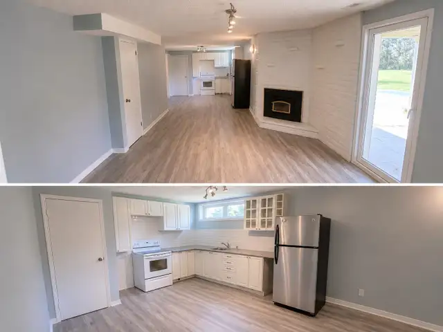 1 Bedroom + Den Basement Above Ground WalkoutApartment in Whitby in Long Term Rentals in Oshawa / Durham Region - Image 3