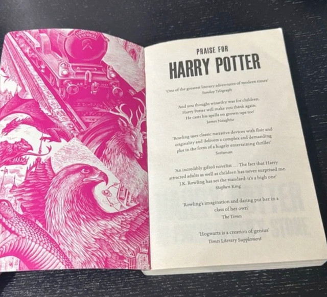 Harry Potter & The Philosopher’s Stone in Fiction in Edmonton - Image 3