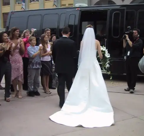 Elegant Demetrios wedding gown in Wedding in Saskatoon - Image 3